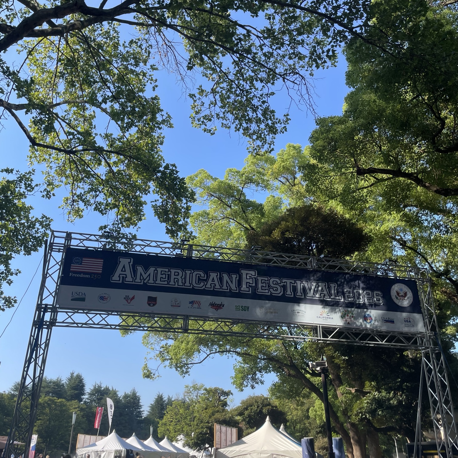 AMERICAN FESTIVAL